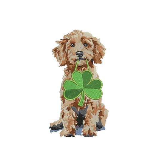 Goldendoodle Saint Patricks Day Embroidery Designs: Dog Embroidery File Cute Puppy with Shamrock Embroidery Machine File (Digital Download)