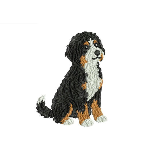 Bernedoodle Embroidery Designs: Curly Doodle Dog Machine Embroidery File Puppy Embroidery Design (PES DST JEF+) Instant Digital Download