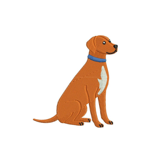 Vizsla Embroidery Designs: Magyar Vizsla Dog with Collar Embroidery File Hungarian Pointer Embroidery Machine File PES+ (Digital Download)