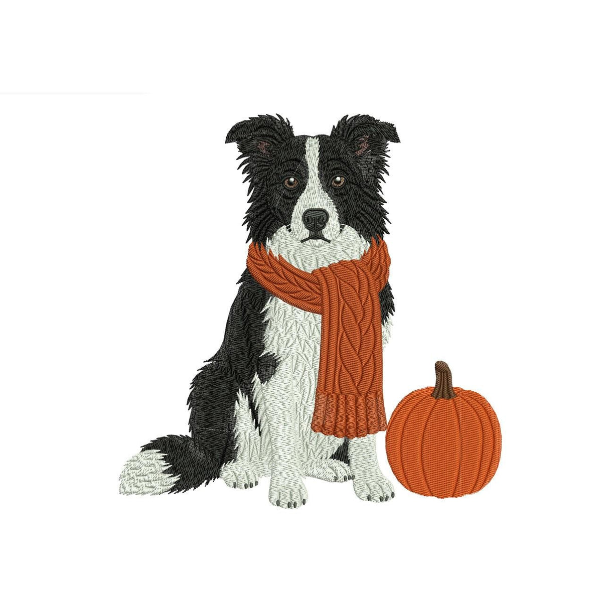 Border Collie Embroidery Designs: Dog with Pumpkin Machine Files (DST, PES, JEF+) Instant Digital Download Files